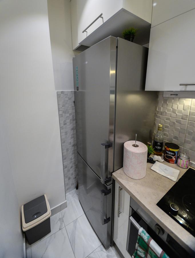 Srecko Exclusive Apartment بلغراد المظهر الخارجي الصورة